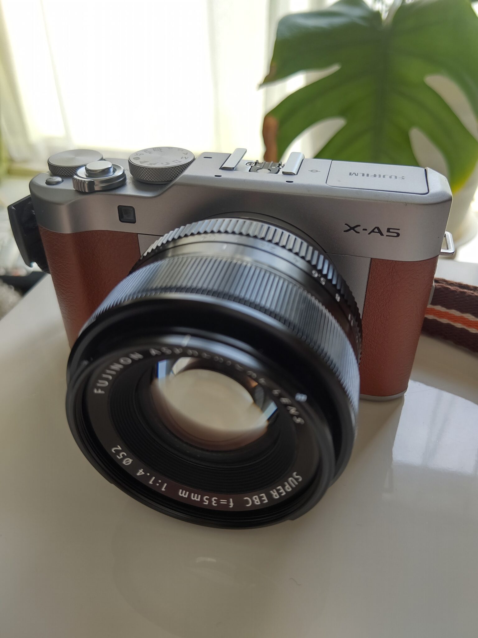 FUJIFILM X-A5に装着したXF35mmF
F1.4R