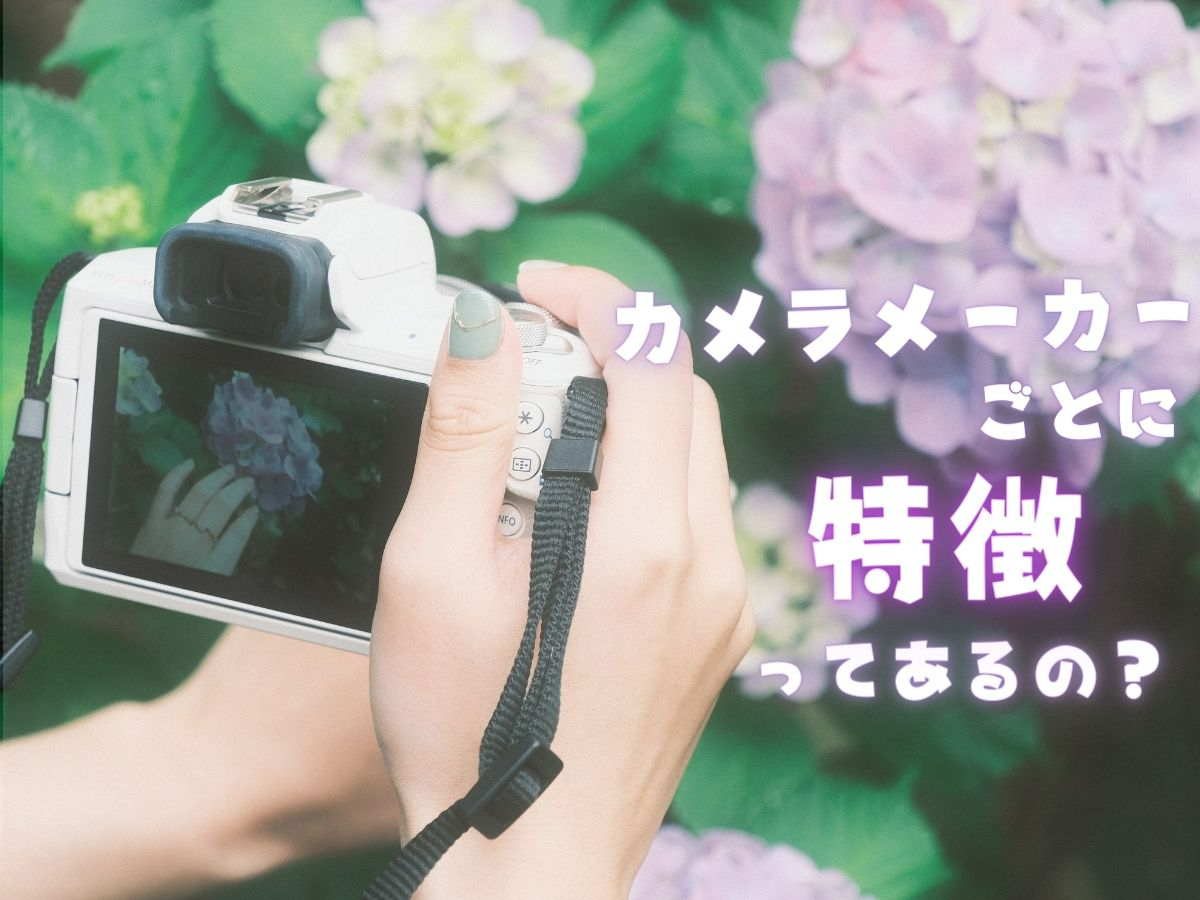 デジタルカメラ 16台 まとめ売り CANON OLYMPUSCASIO FUJIFILM Nikon